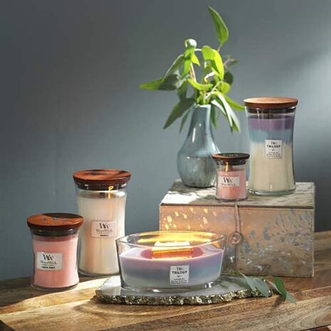 67cc5c191ca4eb768b256ede1a0dcd29292bc4f7f84cf013858c4.jpg 67cc5c191ca4eb768b256ede1a0dcd29292bc4f7f84cf013858c4.jpg