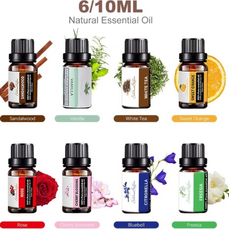 67cd5f8d82394419522fdd8ee720226825725e9c628caee78ba29.jpg 67cd5f8d82394419522fdd8ee720226825725e9c628caee78ba29.jpg