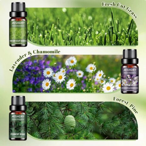 67cd5fded530030260d00cb176677d5fa12c02323b4a3de489f8d.jpg 67cd5fded530030260d00cb176677d5fa12c02323b4a3de489f8d.jpg