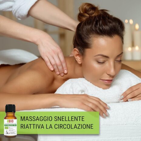 67cd603f8b15d0ab9eff1fc2f9824561292ea90d53528b882e763.jpg 67cd603f8b15d0ab9eff1fc2f9824561292ea90d53528b882e763.jpg