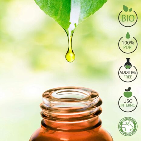 67cd60416b3e1cb0cf11b5f6568e2b38a39e57614d3b8f98f8a03.jpg 67cd60416b3e1cb0cf11b5f6568e2b38a39e57614d3b8f98f8a03.jpg