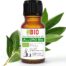 Laurowy Olejek Eteryczny Bio - 5 ml