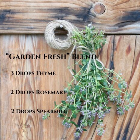 67cd606dc73723d9ccbd2ecddf5d5f4da1ca04d70f719e21c86ac.jpg 67cd606dc73723d9ccbd2ecddf5d5f4da1ca04d70f719e21c86ac.jpg