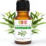 Eukaliptusowy Olejek Eteryczny Bio - 100% Naturalny 10 ml