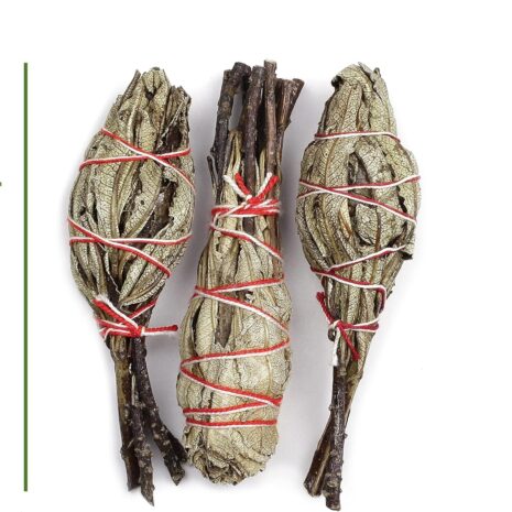 67cec1d6049eaf38e2cc41d3b4887fea2989a6670adacc1ddc6d0.jpg 67cec1d6049eaf38e2cc41d3b4887fea2989a6670adacc1ddc6d0.jpg