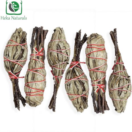 67cec1d71ecf1ba54a3bf4efd8700a2164d72d4c3a06a390c518c.jpg 67cec1d71ecf1ba54a3bf4efd8700a2164d72d4c3a06a390c518c.jpg