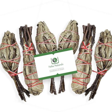 67cec1d84af3c849a40f6f4548e319a1f76621670c9d5dd6b2eb6.jpg 67cec1d84af3c849a40f6f4548e319a1f76621670c9d5dd6b2eb6.jpg