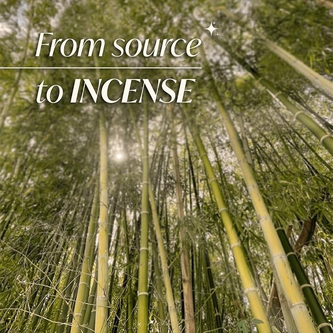 ISPALLA® Oryginalne Pałeczki kadzidłowe PALO Santo 10 sztuk - do oczyszczania z negatywnych energii i lęków, Ręcznie robione w Peru / 100% Naturalne i Wegańskie - obrazek 7