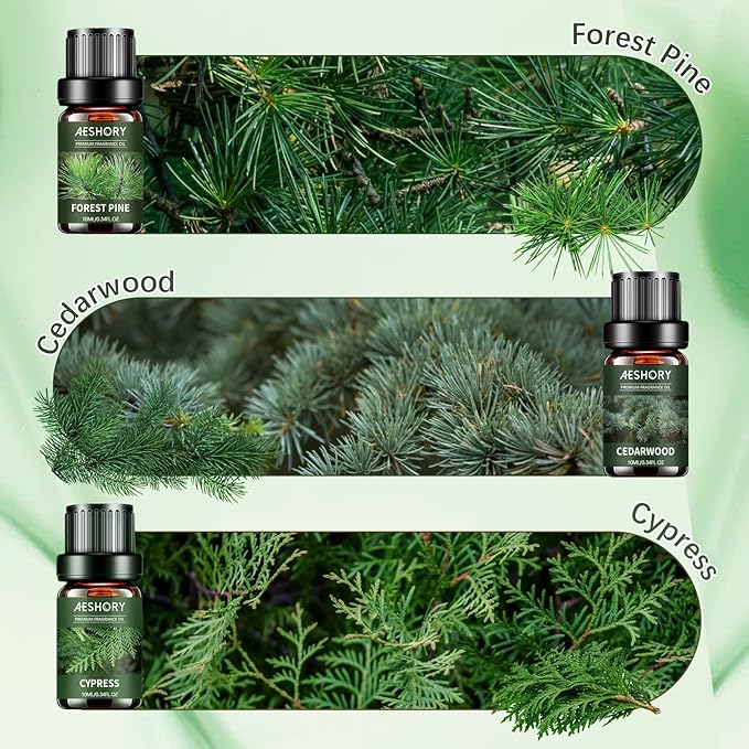 Aeshory 6 x 10ml Drzewny Zestaw Olejków Eterycznych Do Dyfuzorów, Aromaterapii, Nawilżaczy Powietrza I Wyrobu Świec – Drzewo Sandałowe, Cedrowe, Cyprysowe, Kadzidłowe, Tekowe, Sosnowe - obrazek 4
