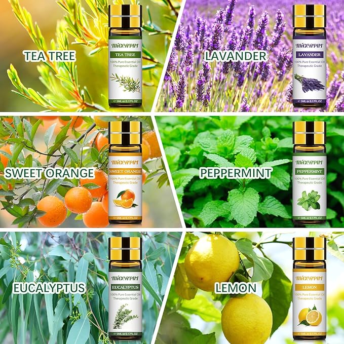 MIGCAPUT Zestaw Olejków Eterycznych 12 x 5ML, 100% Naturalne Aromaterapia Olejków Zapachowych do Dyfuzory, SPA, Masażu - Lawenda, Mięta, Drzewo Herbaciane, Słodka Pomarańcza, Trawa Cytrynowa - obrazek 2