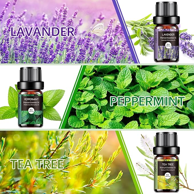 AESHORY Olejki Eteryczne Do Dyfuzorów 6 x 10ML, 100% Naturalny Zestaw Olejków Zapachowych Do Aromaterapii Do Mydła, Świec, Spa - Lawenda, Mięta, Drzewo Herbaciane, Słodka Pomarańcza, Eukaliptus - obrazek 2